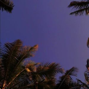 Meet your Posher, Sequoia